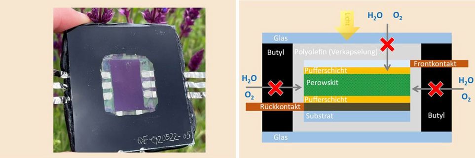 Zwei Fotos. Links: Nahaufnahme einer quadratischen Perowskit-Solarzelle. Schwarzer Kunststoff umschließt den Kern, in dem ein lila Plättchen zu sehen ist. Rechts: Seitenansicht einer Perowskit-Solarzelle: Links und rechts schwarte Balken mit dem Text "Butyl". Oben und unten blaue Balken mit dem Text "Glas" auf den oberen blauen Blaken trifft ein gelber Pfeil mit Text "Licht". Zwischen Glas und Butyl eine graue Schicht mit Text "Polyolefin (Verkapselung). In der Mitte sechs Balken: 1. ein teils hellblauer, teils brauner mit Text "Frontkontakt" 2. ein gelber mit Text "Pufferschicht", 3. ein grüner, doppelt so breiter mit Text "Persowskit", 4. ein gelber mit Text "Pufferschicht", 5. ein teils brauner, teils hellblauer mit Text "Rückkontakt", 6. ein hellblauer mit Text "Substrat". Von oben, links und rechts treffen drei Pfeile auf die Verkapselung, auf Höhe des Glases und des Butyls sind rote Kreuze zu sehen.