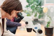 Eine Frau guckt durch ein Mikroskop