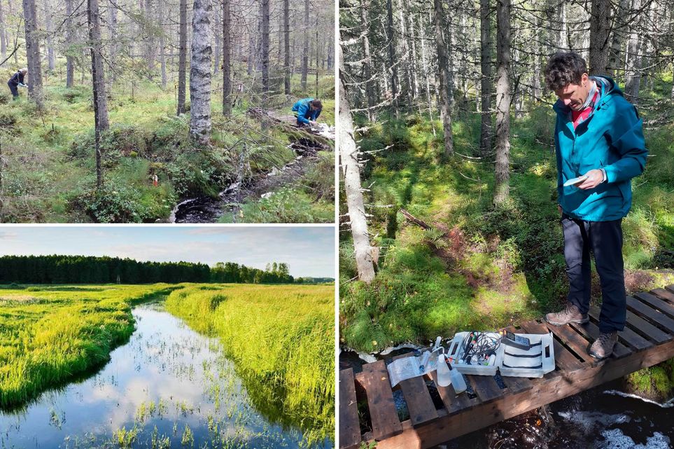 Drei Fotos: Links oben: Zwei Menschen in einem Moor. Links unten: Der Fluss Krycklan in Schweden. Rechts: Prof. Dr. Benny Selle auf einer Holzbrücke in einem Moor. Vor ihm auf dem Boden ein geöffneter Koffer mit Messinstrumenten darin.