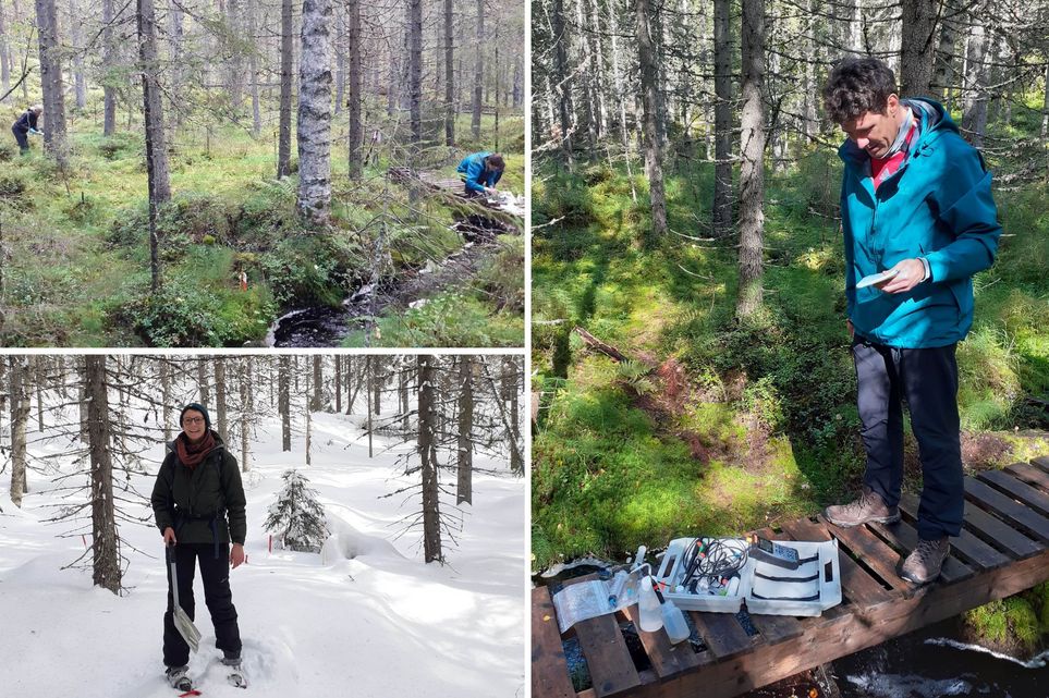 Drei Fotos: Links oben: Zwei Menschen in einem Moor. Links unten: Der Fluss Krycklan in Schweden. Rechts: Prof. Dr. Benny Selle auf einer Holzbrücke in einem Moor. Vor ihm auf dem Boden ein geöffneter Koffer mit Messinstrumenten darin.