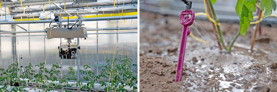 Zwei Fotos: Links: An der Decke eines Gewächshauses hängt ein technisches Gerät mit einem Kameraobjektiv, darunter stehen Tomatenpflanzen. Links: In einem Tomatenbeet steckt eine Düse, die die Erde am Fuße der Tomatenpflanze mit einer Flüssigkeit besprüht.