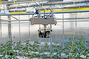 Lunchtalk #02: Gartenbau 4.0 – Zukunftsfähigkeit und Nachhaltigkeit durch digitale Innovationen?