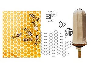 Lunchtalk #09: HIIVE Bienenstock 2.0 – Artgerechte Bienenhaltung durch naturnahes Design und Sensorik